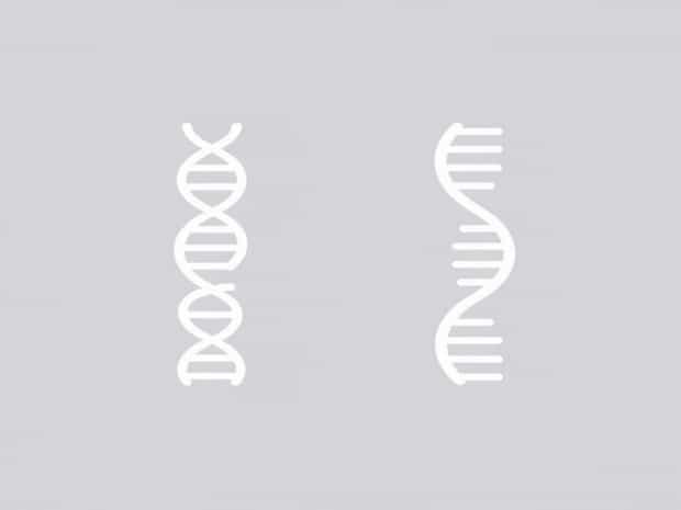 Alpha Helices And Beta Sheets