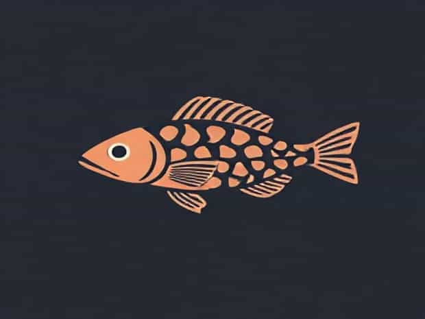 An Example Of A Bony Fish