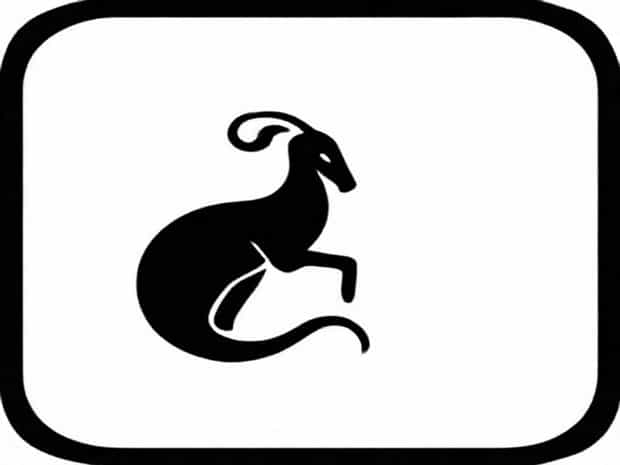 Another Word For Lacteal