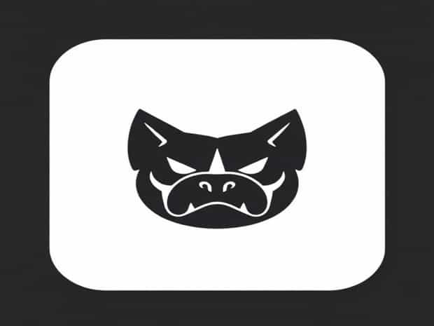 Another Word For Pugnacity