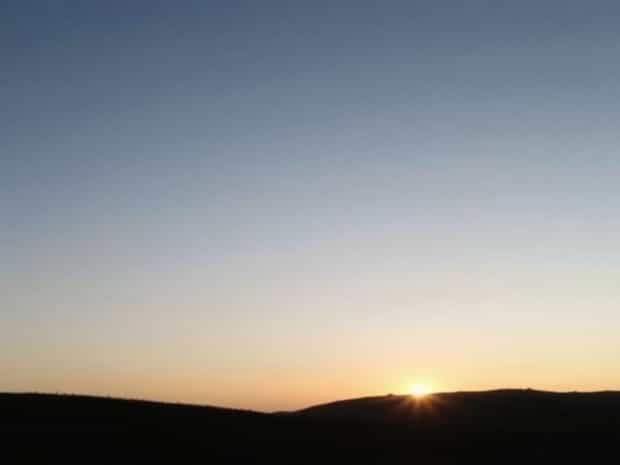 Another Word For Shimmed