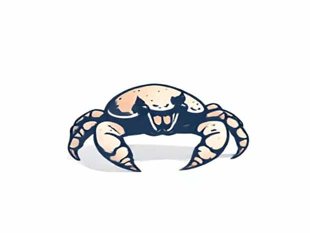 Are Hermit Crabs Good Pets