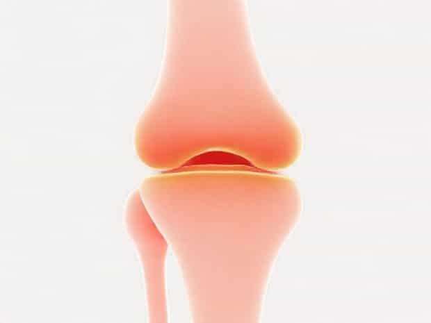 Articular Discs And Menisci