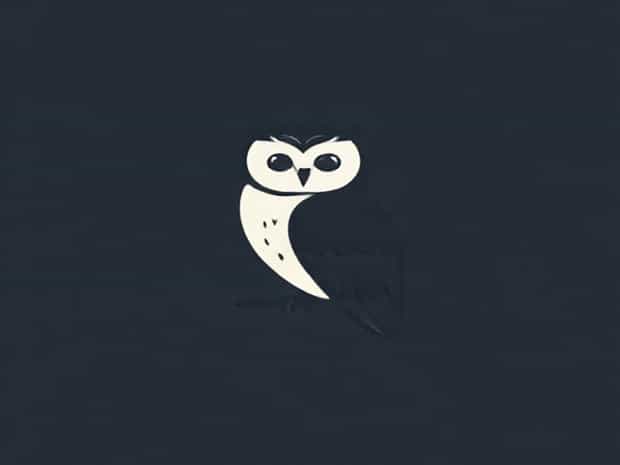 Barn Owl Twit Twoo