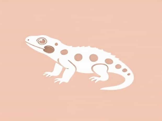 Best Reptile Pets For Kids