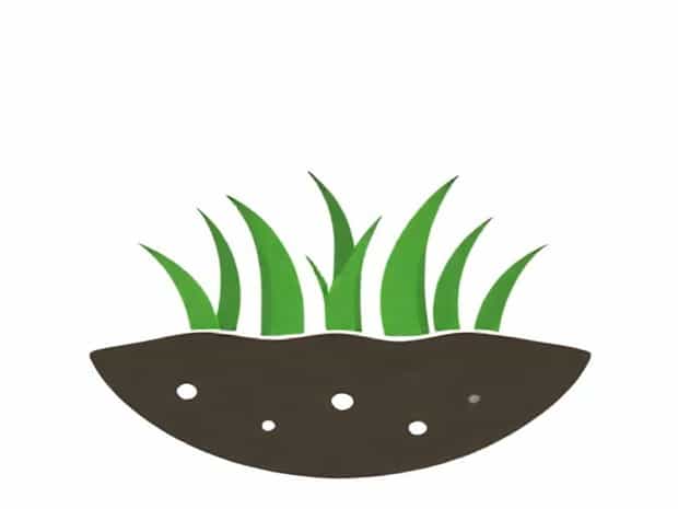 Best Topsoil For Grass