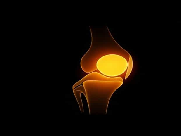 Biomechanics Of The Menisci Of The Knee