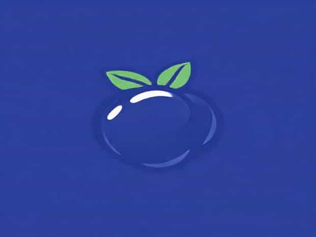 Blueberry Is Climacteric Or Non Climacteric
