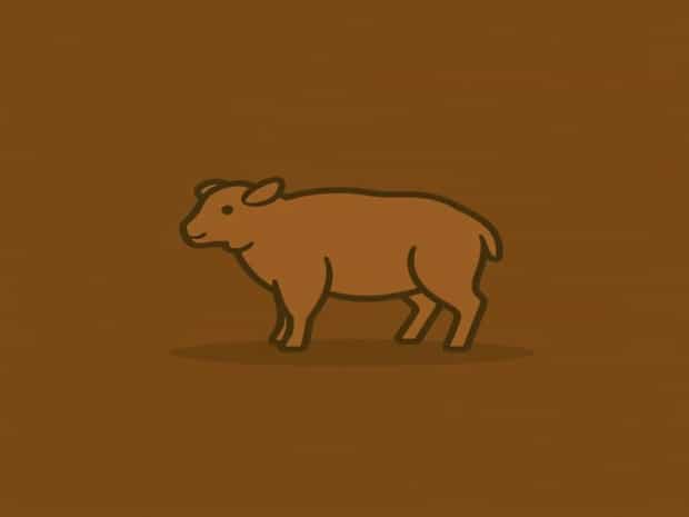 Boneless Lamb Chump Recipe