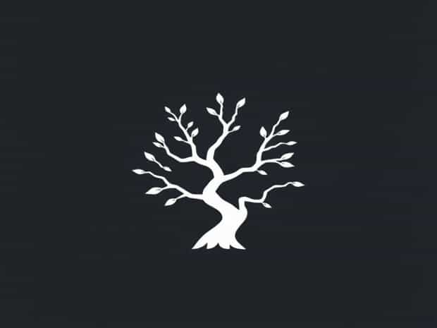 Branch That Can Declare War