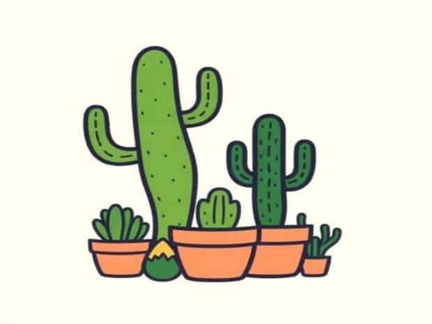 Cactus Plant Flea Market