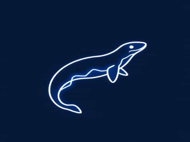 Can Electric Eel Kill Human