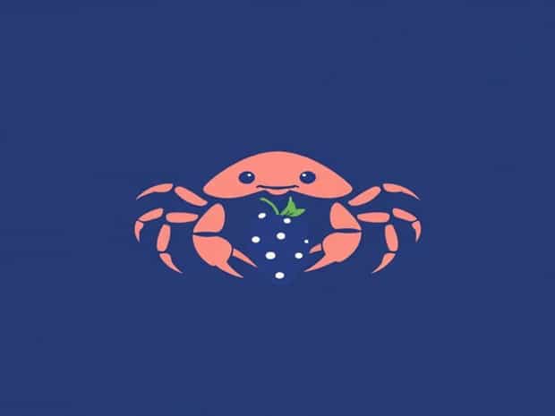 Can Hermit Crabs Eat Grapes