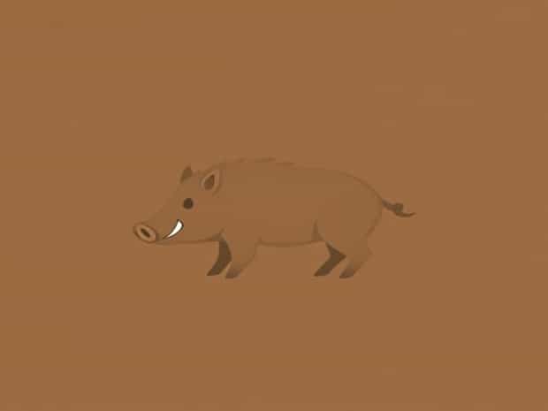 Can You Eat Wild Hog