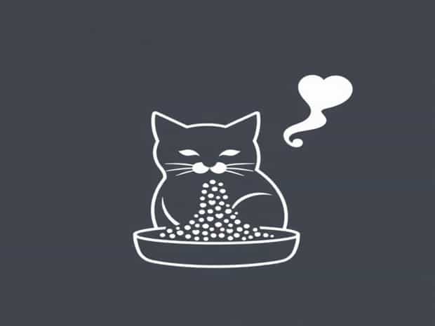 Cat Litter For Asthmatic Cats