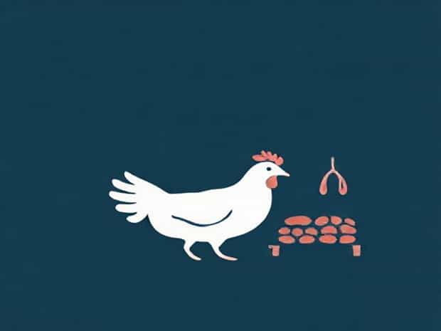 Chicken Abattoir Near Me