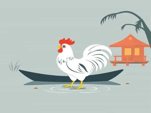 Chicken On The Bayou