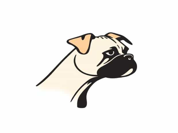 Dog:A Matchless Sort Of Boxer