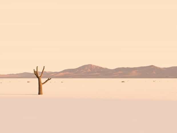 El Mirage Dry Lake