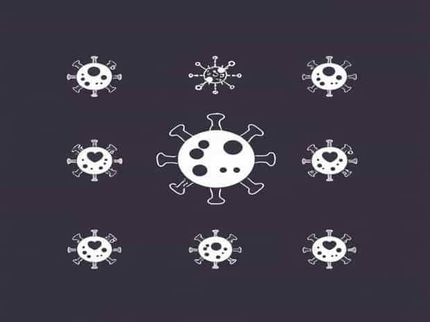Family Of Rubella Virus