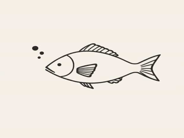 Fish Can Sing Laxness