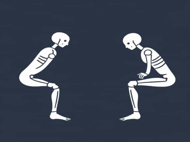 Freely Movable Joints Examples
