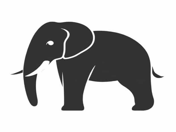 How Long Do Elephants Gestate