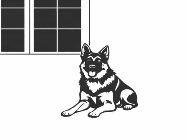 How To Housebreak A German Shepherd