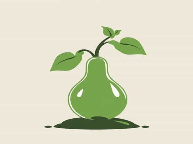 How To Plant Bitter Gourd