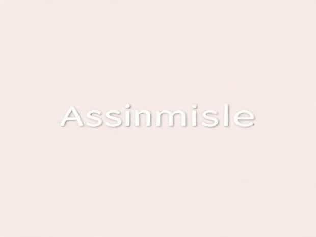 How To Use Assimilate In A Sentence