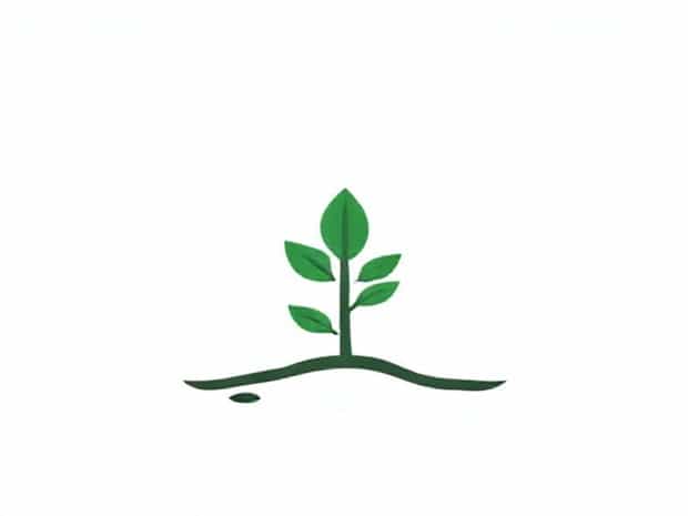 Is Carbon Sequestration An Ecosystem Service