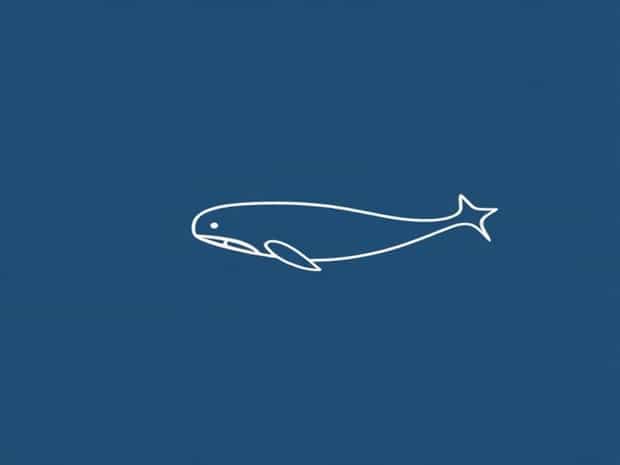 Is It A Pod Of Whales?
