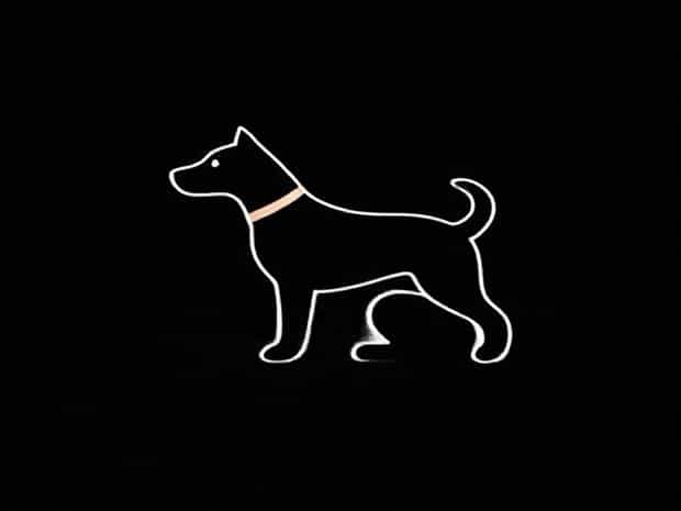 Is It Bad To Neuter A Dog