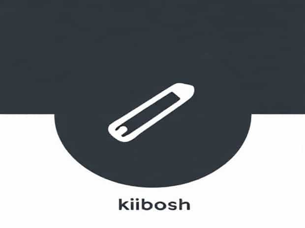Is It Okay To Say Kibosh
