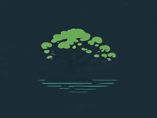 Is Mangrove A Biome