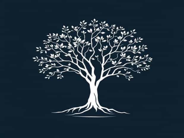 Is Mangrove A Tree