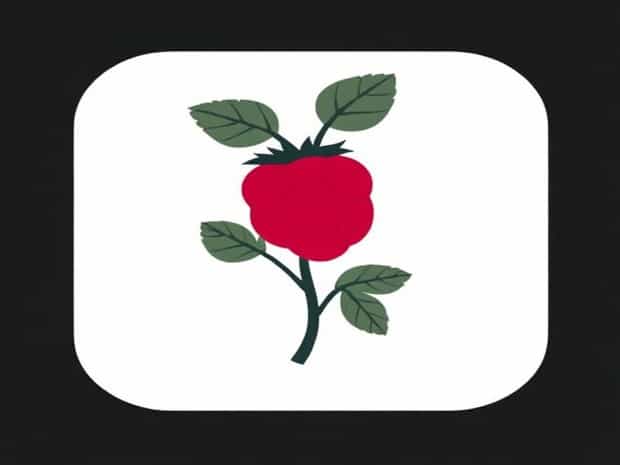Is Raspberry A Bush