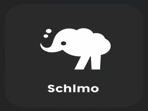 Is Schmo A Bad Word