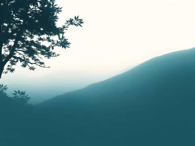 Is There Gayness In Nature