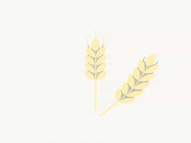 Is Whole Wheat Better