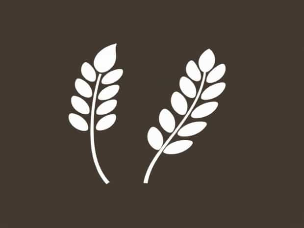 Is Whole Wheat Gluten