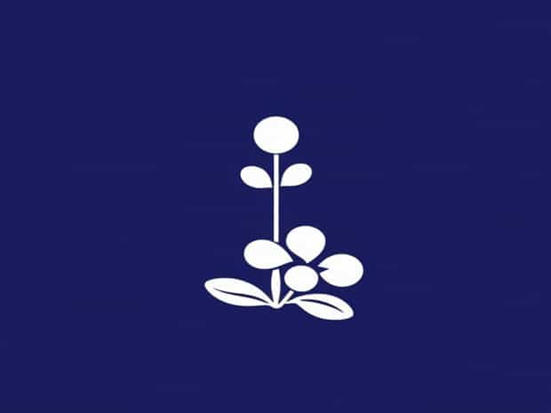 Linolenic Acid:Essential Or Nonessential?
