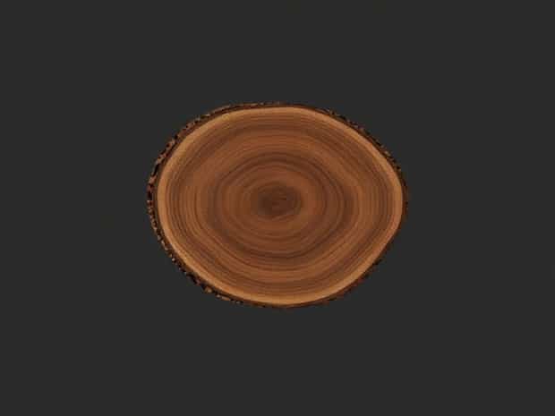 Live Edge Walnut Slab