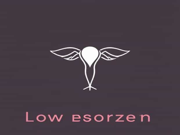 Meaning Of Low Estrogen