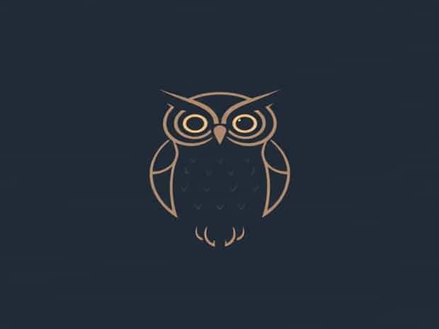 Meaning Of Seeing An Owl
