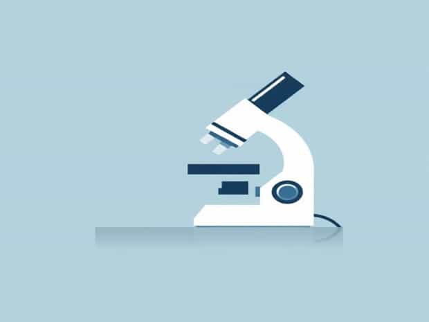 Microscope Microphone Microfilm Microbe