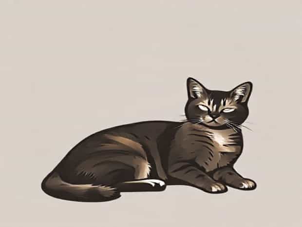 Most Affectionate Lap Cat Breeds