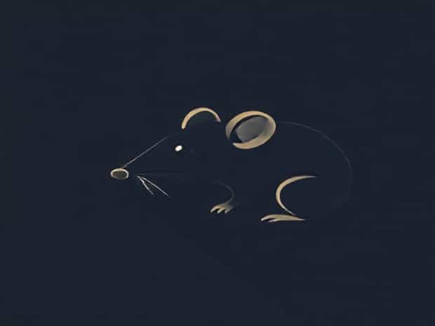 Mouselike Insectivore With Long Pointed Nose