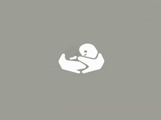 Other Words For Embrace