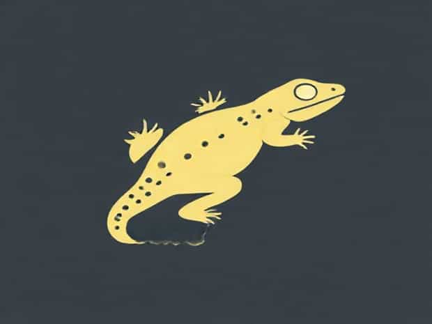 Vermont Reptile And Amphibian Atlas
